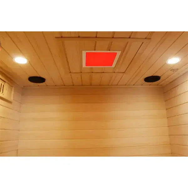 3 Person Outdoor Dry Sauna speakers